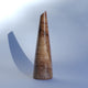 Rippled Lop-Top Sycamore Scandi