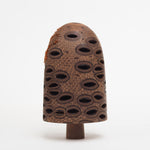 Hairy Banksia Nut