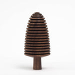 Spiny Pine Cone