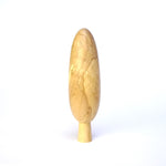 Spalted Sycamore Poplar