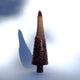 Long Nose Hairy Banksia Nut