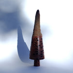 Long Nose Hairy Banksia Nut