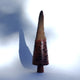 Long Nose Hairy Banksia Nut