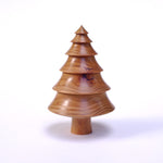 Squat Sprucey Spruce-Root