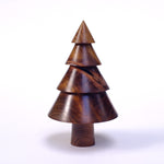 Ribboned Splitty Laburnum Tree