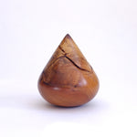 Gnarly Elm Drop