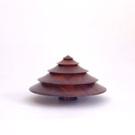 Squat Lignum Vitae Shrub