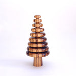 Striped Zebrano Fern