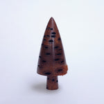 Pitted Banksia Nut Tree