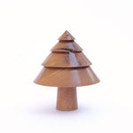 Splitty Elm Shrub