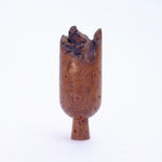 Crevice-Topped Burr Elm Tree